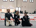 CACIB Montichiari 2012